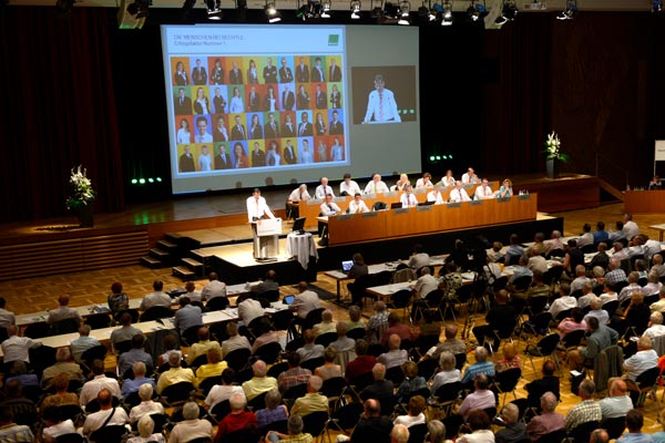 General Meeting 2013