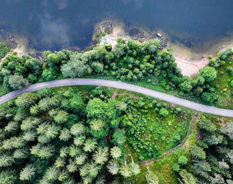 Straße durch den Wald