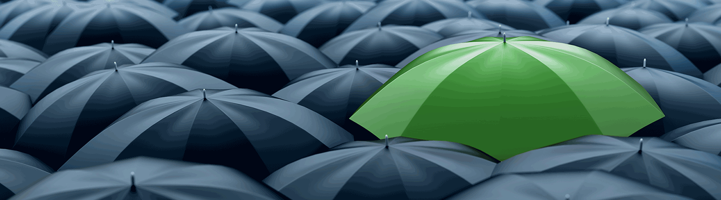 green black umbrella