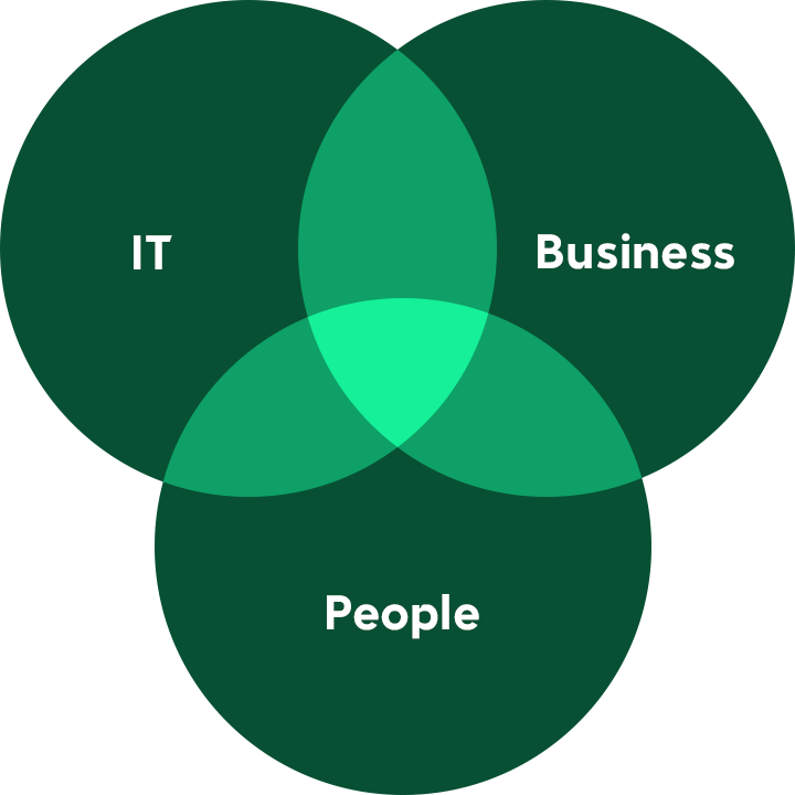 Diagram of overlaps between IT, people and business