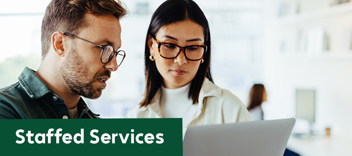 IT staffed services