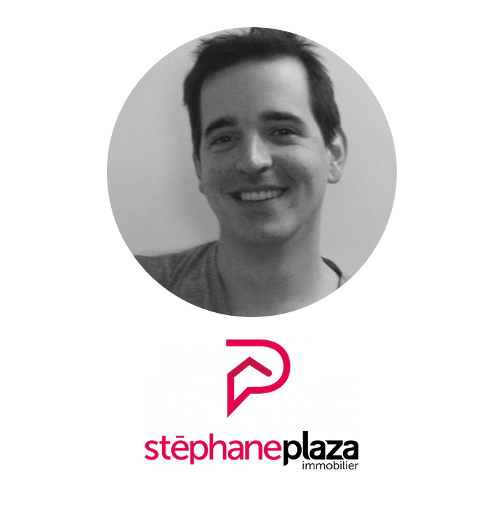 Stephane plaza DSI