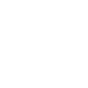 Performance Icon