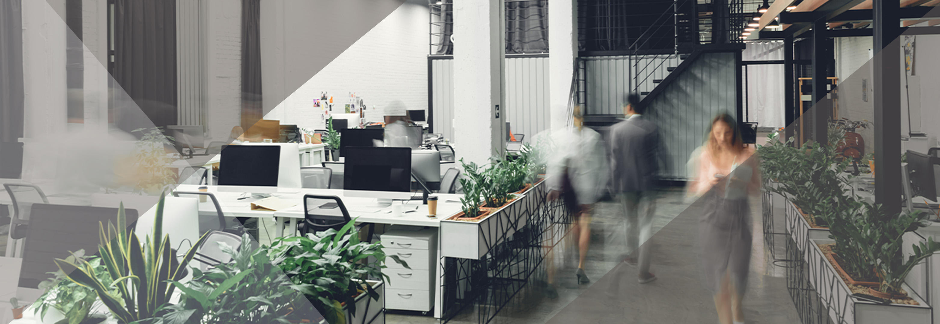 Modern Workplace