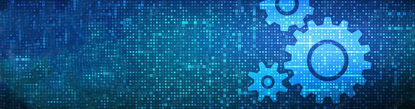 Software Asset Management