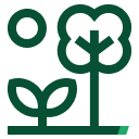 Bio diversity Icon